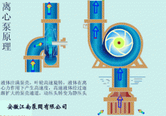 耐腐蝕離心泵結構圖,工作原理GIF動畫